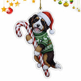 Bernedoodle Christmas Ornament | Bernedoodle Hugging Candy Cane Ornament 2D Flat Acrylic Ornament | Christmas Tree Decoration, Gifts for Dog Lovers 2025