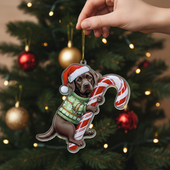 Cute Chocolate Lab Hugging Candy Cane 2D Flat Acrylic Ornament - Christmas Tree Decoration, Unique Animal Keepsake 2025